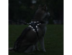 PETLOVE Szelki pojedyncze LED dla psa S czarne [SZELLEDZSBK] - image 2