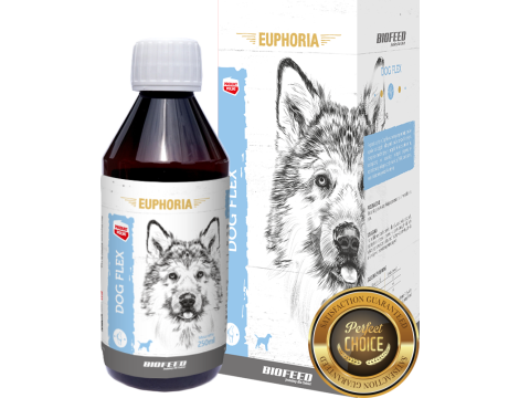 BIOFEED EUPHORIA Dog Flex preparat na stawy dla psa 250ml