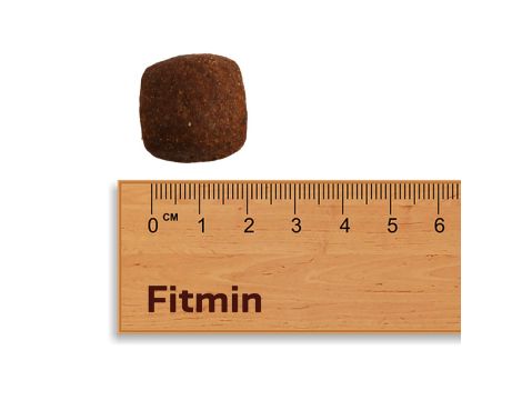 FITMIN dog For Life Adult Large Breed 12kg - 2